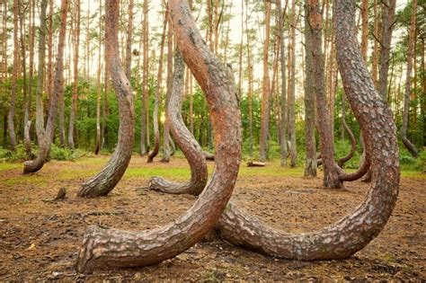 weirdest natural places on earth|15 Strangest Places in the World That Don’t Seem Real .